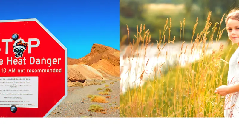 stop sign and girl in summer field