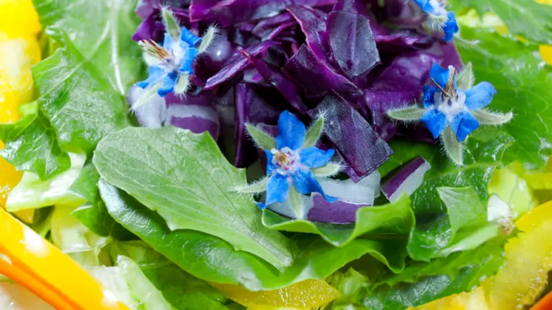 Beautiful Rainbow Salad