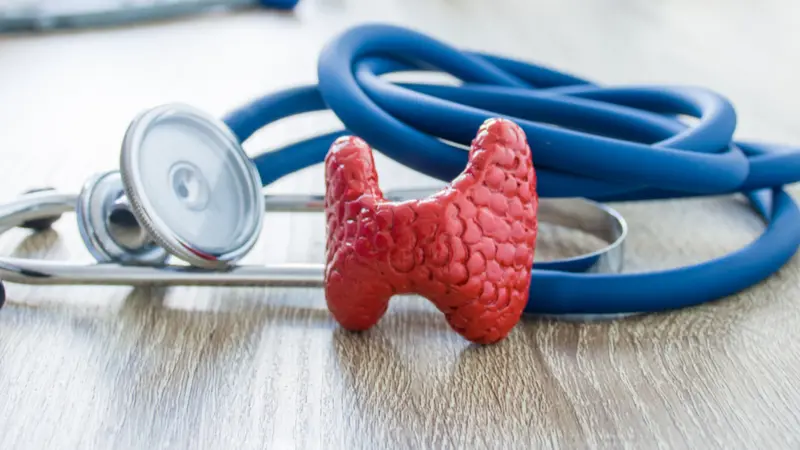 foreground is model of thyroid gland near stethoscope on table in background blurred silhouette doctor at table