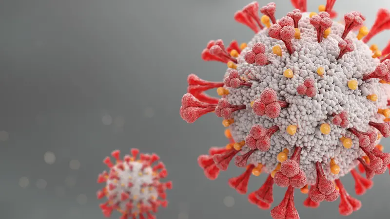 3D rendering Covid-19 virus