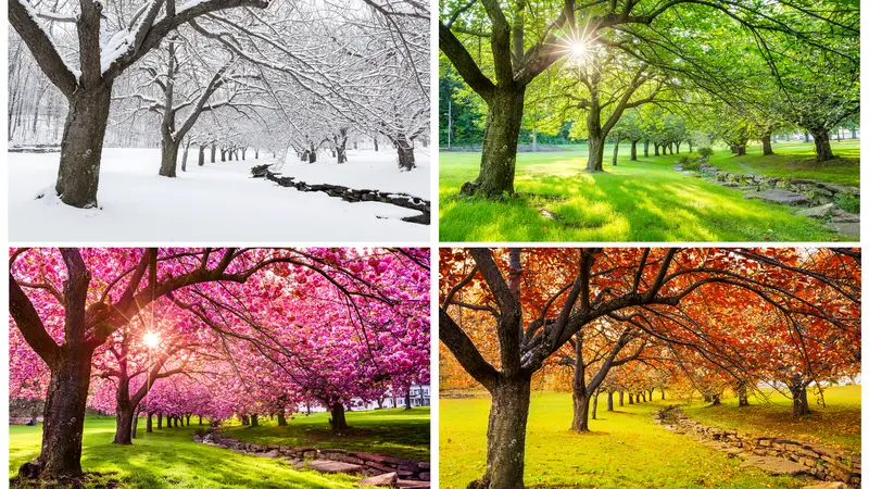 How the Change in Seasons Affects Your Health