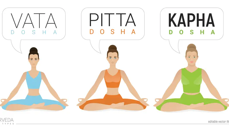 Ayurvedic physical constitution of human body types - Vata, pitta, and kapha doshas vector. 