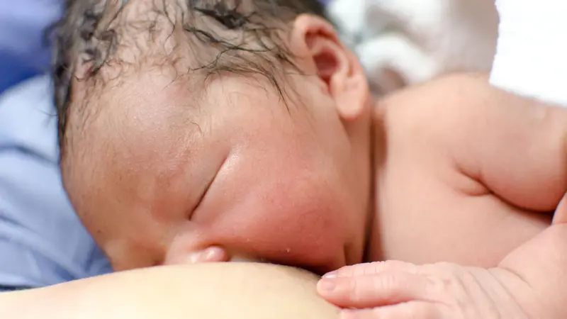 Newborn baby breast feeding.