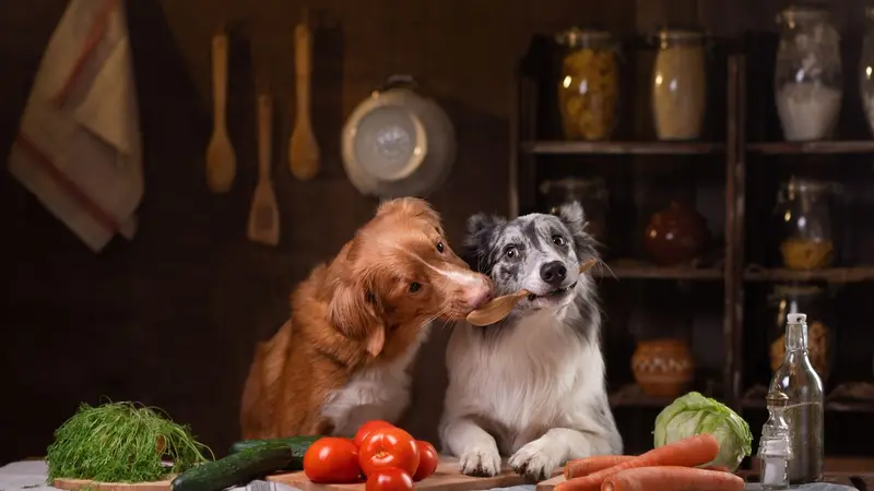 Dogs sharing a spoon