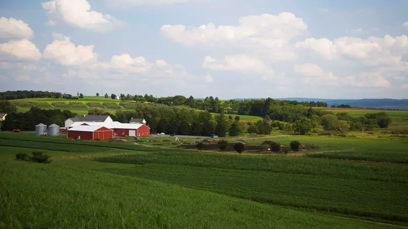 Rodale Farm