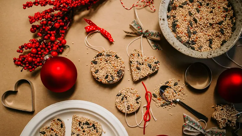Homemade Birdseed Christmas Ornaments tied with Ribbon