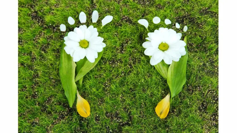 Footprints of leaves and flowers on grass.