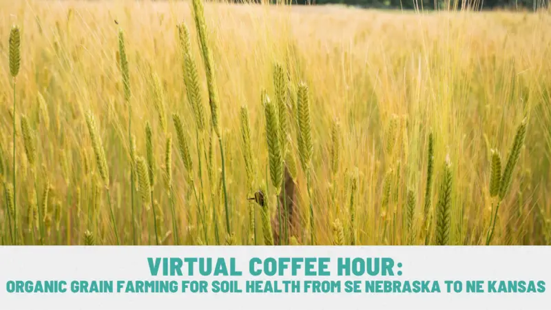 Virtual Coffee Hour: Organic Grain Farming For Soil Health From Se Nebraska To Ne Kansas