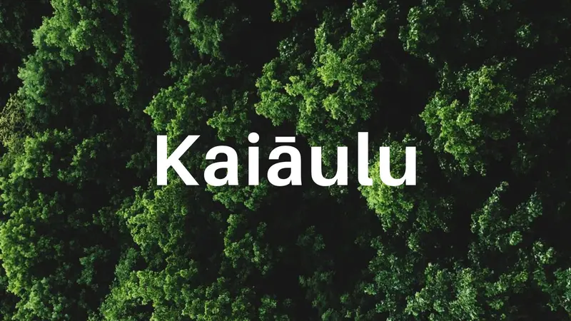 A Kaiāulu Event: June Solstice Ceremony