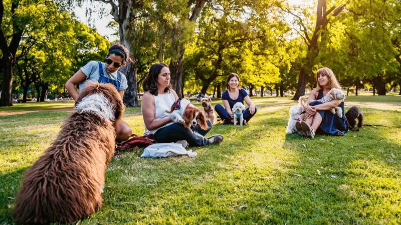 Gathering of dogs and their owners in a park