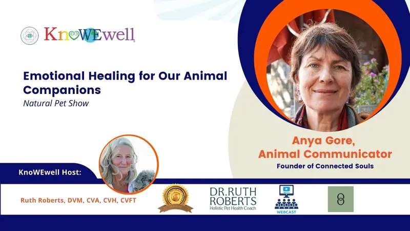 Banner: Emotional Healing for our Animal Companions: Natural Pet Show