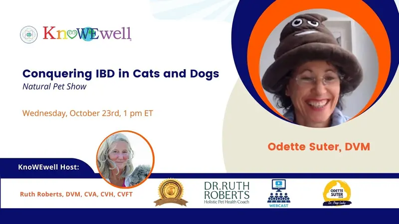 Conquering IBD in Cats and Dogs: Natural Pet Health