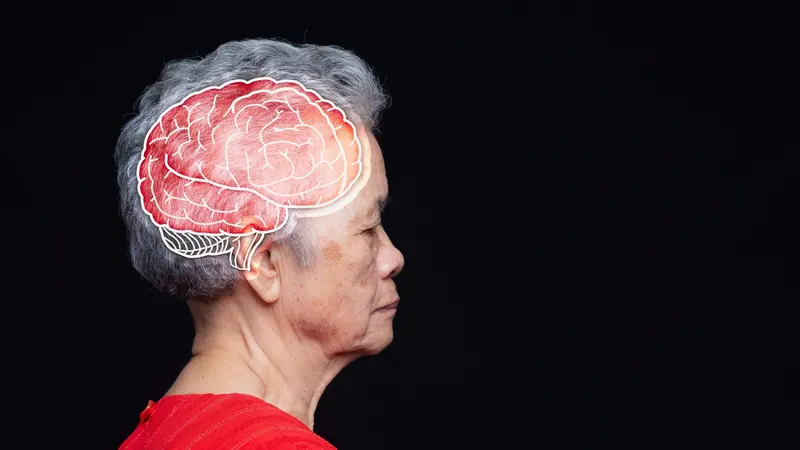 Senior woman in profile with a brain illustration Senior woman in profile with a brain illustration