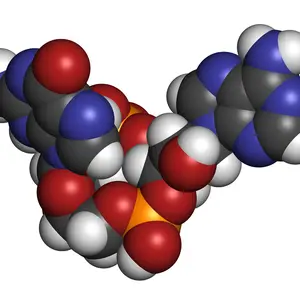 Adenosine molecule