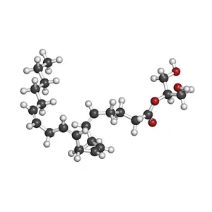 Diacylglycerol molecule