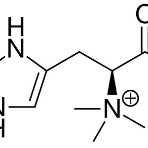 Ergothioneine molecule