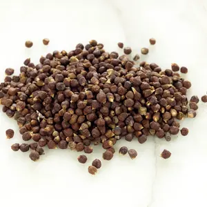 Aframomum melegueta plant dried seeds