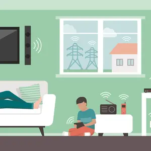 People living in their house and EMFs emitted by appliances and wireless devices