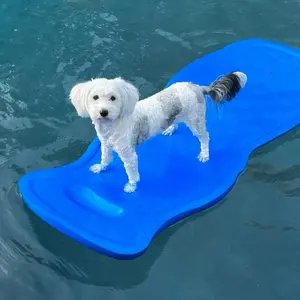 Dog on a raft in the water