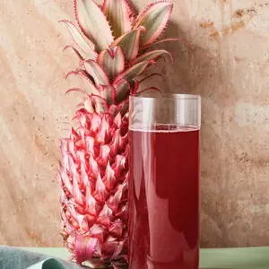 Pineapple-Hibiscus Drink