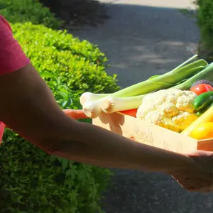 Person offering CSA box full of vegetables to another person Person offering CSA box full of vegetables to another person