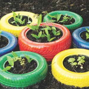A plants planted on colorful wheels A plants planted on colorful wheels