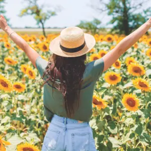 A woman with arms extended in the sunflower field A woman with arms extended in the sunflower field
