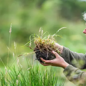 Agronomist on a farm holding soil, doing soil tests. Looking at soil life and health Agronomist on a farm holding soil, doing soil tests. Looking at soil life and health