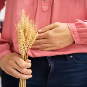 person holding a piece of wheat as well as holding stomach in pain; showing celiac disease person holding a piece of wheat as well as holding stomach in pain; showing celiac disease