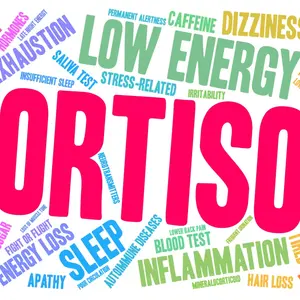 Cortisol word cloud on a white background Cortisol word cloud on a white background
